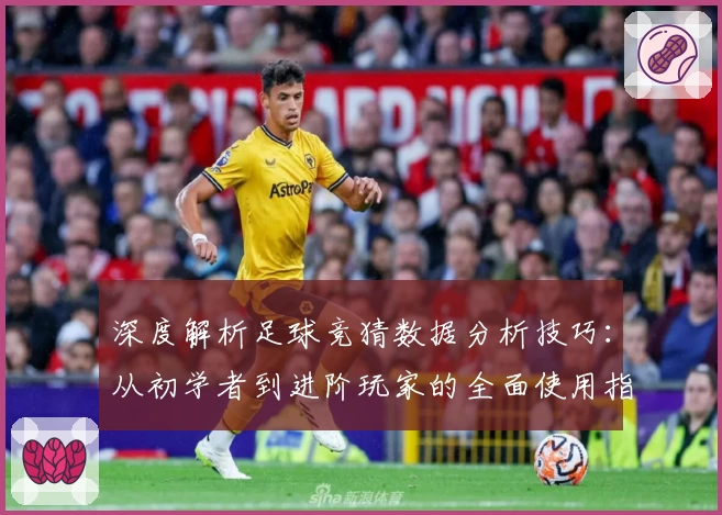 深度解析足球竞猜数据分析技巧：从初学者到进阶玩家的全面使用指南