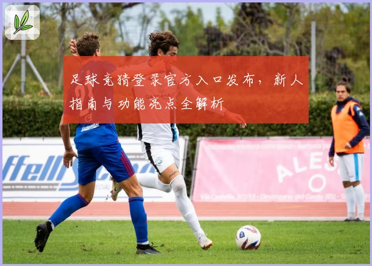 足球竞猜登录官方入口发布,新人指南与功能亮点全解析