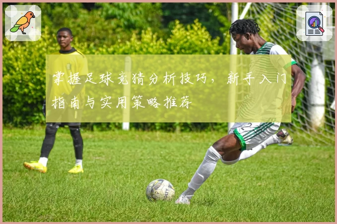 掌握足球竞猜分析技巧，新手入门指南与实用策略推荐