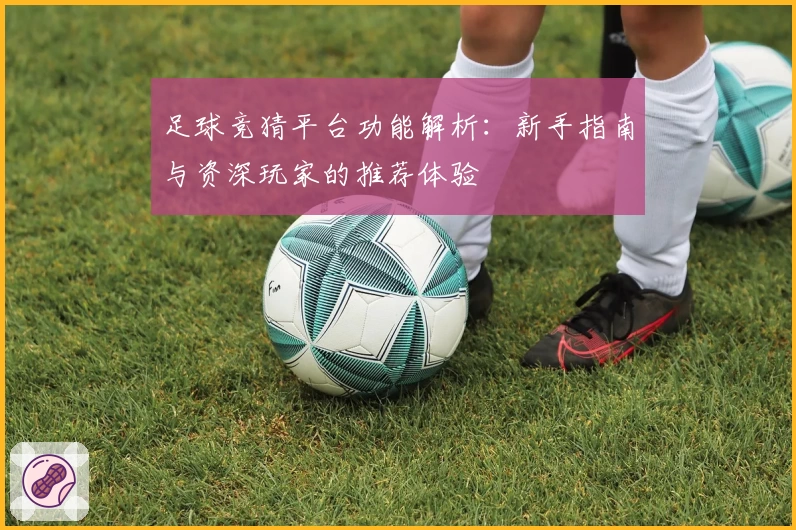 足球竞猜平台功能解析:新手指南与资深玩家的推荐体验